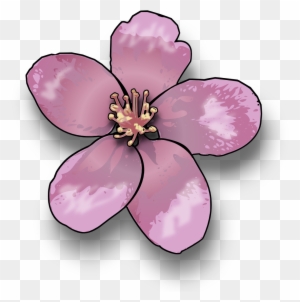 Apple Blossom - Flower Of A Tree Clipart