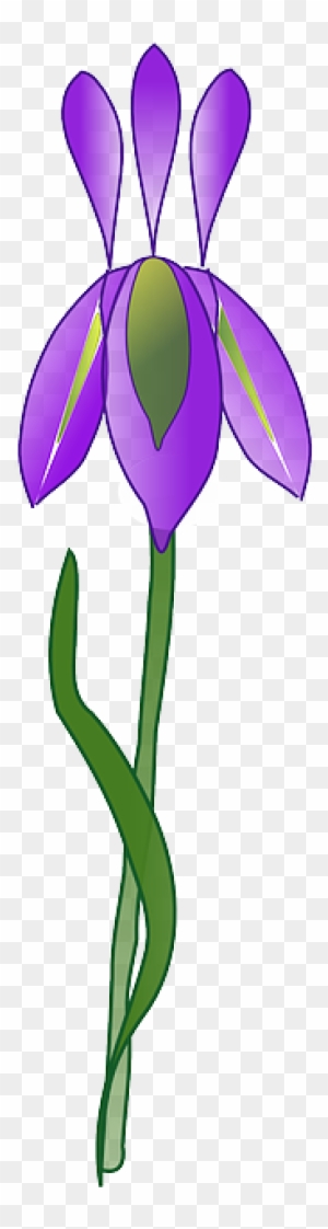 Purple, Iris, Plant, Garden, Nature - Iris Flower Vector Png