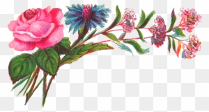 The Soft Colors Make It A Lovely Flower Download - Floral Design