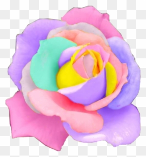 Rose Rainbow Flower Flowers Pastel Rosesfreetoedit - Transparent Rainbow Flower Png