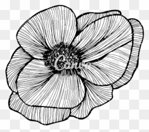 Drawn Elower Abstract Flower - Flower Hand Drawing Png