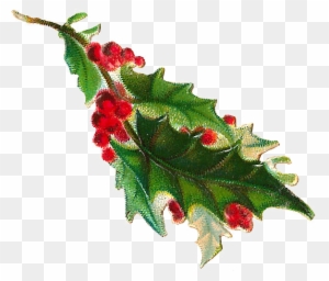 Free Christmas Clip Art - Holly Branch Png