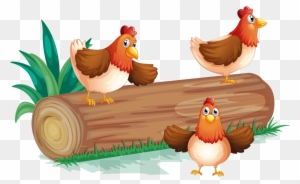 Image Du Blog Zezete2 - Chicken