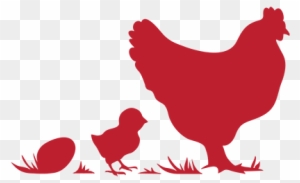 Rent A Chicken Logo Clipart - Farm Fresh Eggs Sign