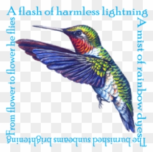 Ruby Throated Hummingbird Poem - Cafepress Hummingbird Poem Tile Coaster