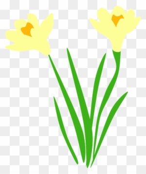 Flower Vectors 26, - Daffodil Vector - Free Transparent PNG Clipart ...