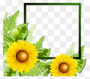 Sunflower Border - Sun Flower Frame Png