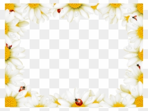 Flower Picture Frame Chamomile Royalty-free - Frames In Flowers Free