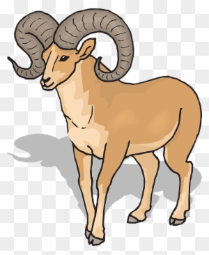 View Shadow Sheep Front Horns Animal Bighorn - Ram Clipart