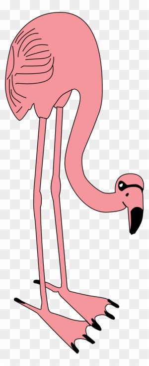 Custom Pink Flamingo Shower Curtain, Pink Flamingo Shower Curtain Target