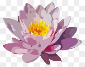 Cartoon Lotus Flower 20, - Water Lily Flower Png