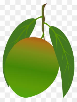 Mango Clipart Food - Mango Green Png