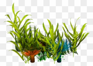 Underwater Aquatic Plants Seaweed Clip Art - Sea Plants Png Transparent