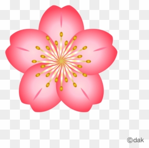 Free Flower Material Cherry Pictures Of Clipart And - Cherry Blossom Flower Icon