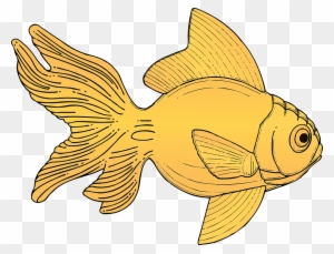 Goldfish Cliparts Girl 12, - Gold Fish Clipart