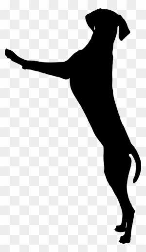 How Can I Stop My Dog Jumping Up On People - Dog Standing Silhouette