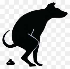 Now Organic 100% Compostable Certified Dog Poop Bags