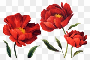 Yüksek Çözünürlüklü Dekupaj Resimleri,sanatsal Dekupaj - Transparent Red Flowers Watercolor