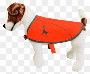 Essential Visibility Dog Vest [neon Orange] - Alcott Essentials Dog Vest, Small, Neon-yellow