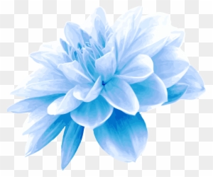 Blue Flower Picture Savingourboys - Single Blue Flower