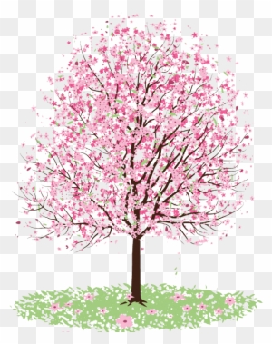 Related Categories - Cherry Blossom Tree Coloring
