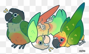 All Hail Bird Orb By Mynosylexia - Sun Conure And Green Cheek Conure All Hail Bird Orb By Mynosylexia - Sun Conure And Green Cheek Conure