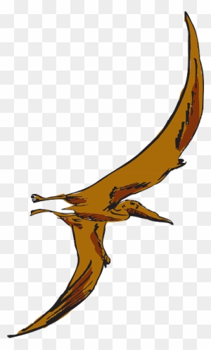 Pteranodon Pterosaurs Tyrannosaurus Pterodactyl PNG, Clipart, Artwork,  Cartoon, Cizgi, Dinosaur, Drawing Free PNG Download