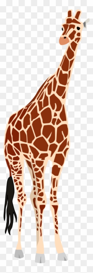Giraffe Free Vector / 4vector - Love Giraffes Throw Blanket