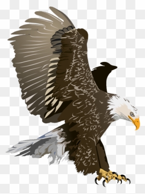Eagle Free To Use Clipart - Bald Eagle Clip Art