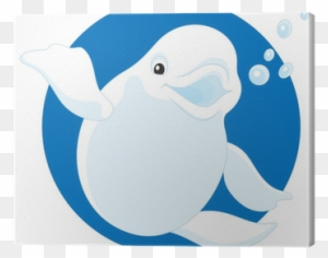 Cuadro En Lienzo Blanco Polar Ballena Beluga Pixers Beluga Whale Free Transparent Png Clipart Images Download