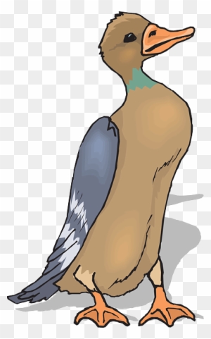 Feathers Brown Bird Duck Wings Standing Animal Bebek Vektor Png Free Transparent Png Clipart Images Download Feathers Brown Bird Duck Wings Standing Animal Bebek Vektor Png Free Transparent Png Clipart Images Download