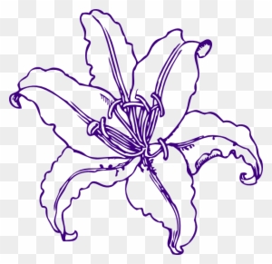Water Droplet Coloring Page Rain Drop Free Blue Water Lily Flower Clipart Stargazer Coloring Page
