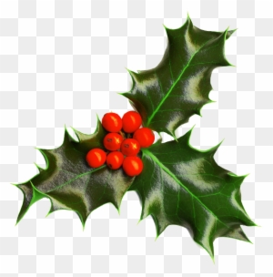 Holly Image Christmas Seasonal Portable Network Graphics - Christmas Holly Transparent Background