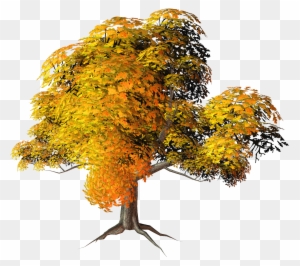 Has Found 20 Trees With Transparent Background - Fall Trees Png