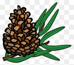 Free Clipart Of A Pinecone - Pine Cone Pine Clipart