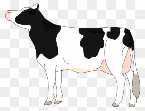 Holstein Cow By Kyumbha - Cattle - Free Transparent PNG Clipart Images ...