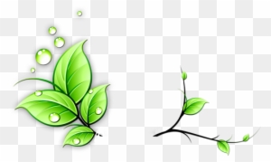 293-2932824_green-vine-cliparts-green-vines-clip-art-hd 