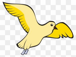 Bird, Pigeon, Flight, Sky, Yellow, Adobe - Bird - Free Transparent PNG  Clipart Images Download