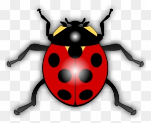 Beetle Clip Art Download - Animated Picture Of A Ladybug