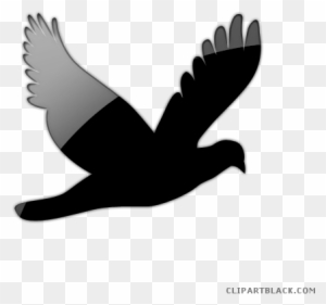 Flying Bird Animal Free Black White Clipart Images - Dove Silhouette