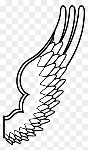 Archaic Drawing Of A Bird Wing - Cartoon Bird Wing Png - Free Transparent  PNG Clipart Images Download