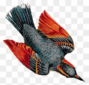 This Vintage Bird Drawing Artwork Is Very Pretty, Showing - Bird Flying Clipart Drawing