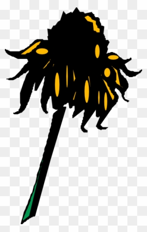 Wilting Sunflower Png