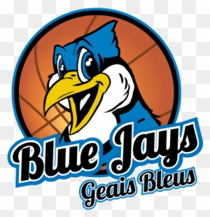 Basketball Team Logo Design