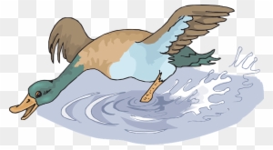 Flying Bird Cartoon 29, Buy Clip Art - Duck In The Water Png