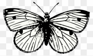 Butterfly Tattoo Png