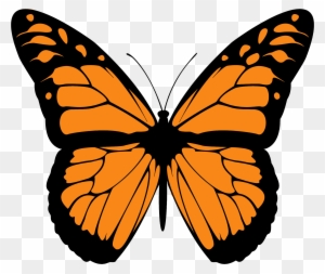 Butterflies Monarch Ies Clipart Https Tango Hamburg - Draw A Monarch Butterfly