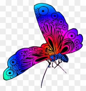 Beautiful Butterfly Image - Beautiful Butterfly Clipart
