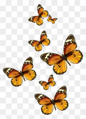 Butterflies Vector Png Clipart Picture - Painted Lady Butterfly Clip Art