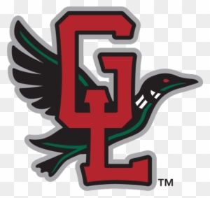 Loon Clip Art - Flying Loon Drawing - Free Transparent PNG Clipart